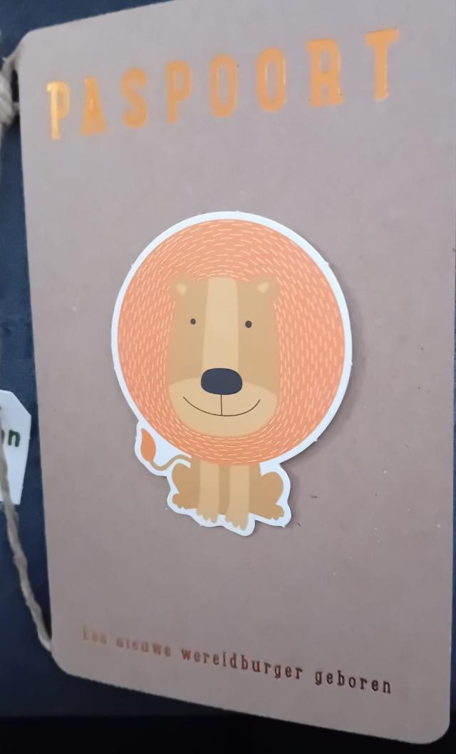 717041 met leeuw.jp…